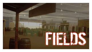 Paintball - Fields